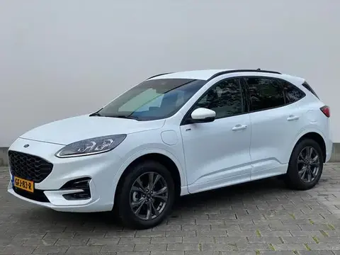 Used FORD KUGA Hybrid 2023 Ad 