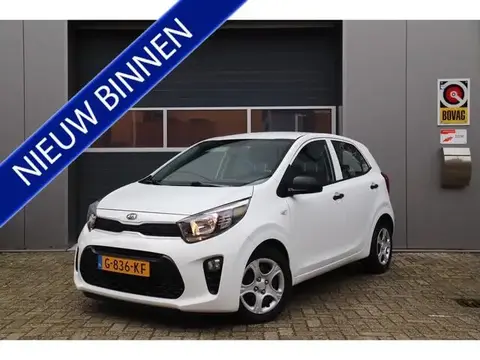 Used KIA PICANTO Petrol 2019 Ad 