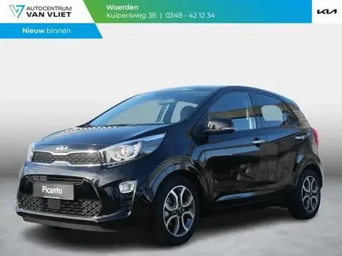 Used KIA PICANTO Petrol 2024 Ad 