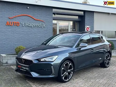 Used CUPRA LEON Hybrid 2021 Ad 