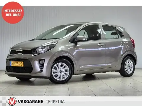 Used KIA PICANTO Petrol 2019 Ad 