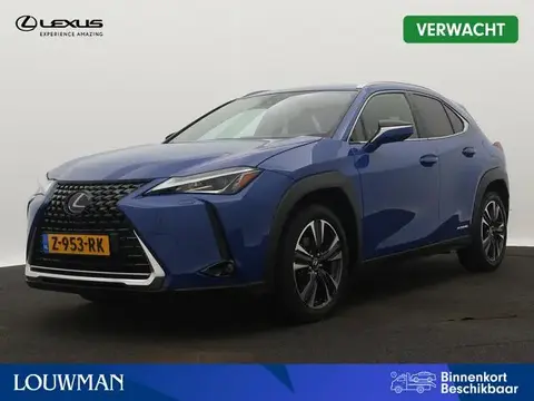 Used LEXUS UX Hybrid 2020 Ad 