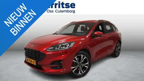 Used FORD KUGA Hybrid 2021 Ad 