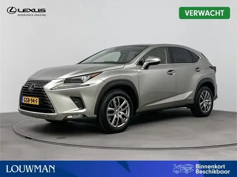 Used LEXUS NX Hybrid 2020 Ad 