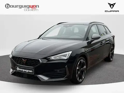 Annonce CUPRA LEON Hybride 2024 d'occasion 