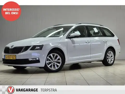 Used SKODA OCTAVIA Petrol 2019 Ad 