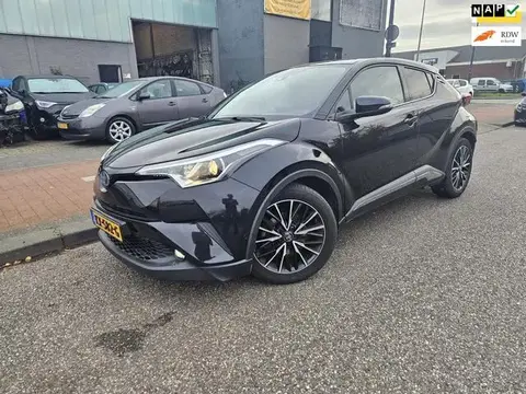 Used TOYOTA C-HR Hybrid 2016 Ad 