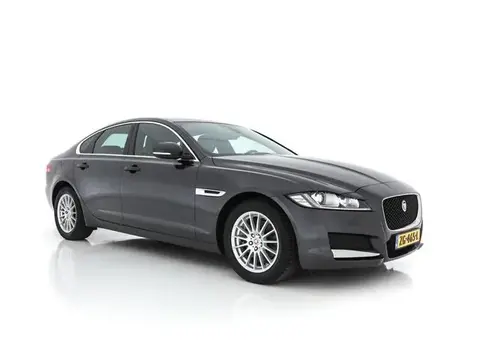 Used JAGUAR XF Diesel 2019 Ad 