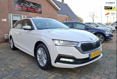 Used SKODA OCTAVIA Hybrid 2021 Ad 