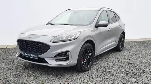 Annonce FORD KUGA Hybride 2024 d'occasion 