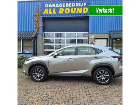 Used LEXUS NX Petrol 2018 Ad 