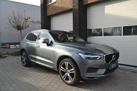 Annonce VOLVO XC60 Essence 2020 d'occasion 