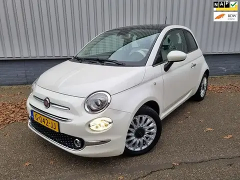 Used FIAT 500 Petrol 2019 Ad 