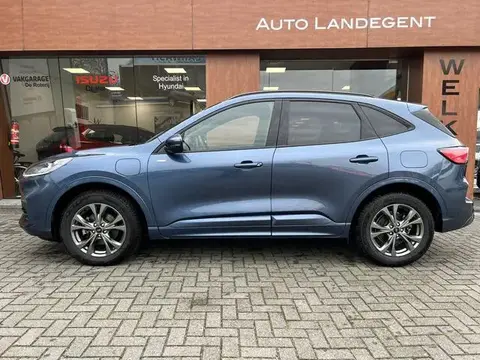 Used FORD KUGA Hybrid 2021 Ad 