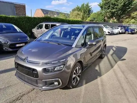 Annonce CITROEN C4 Diesel 2019 d'occasion 