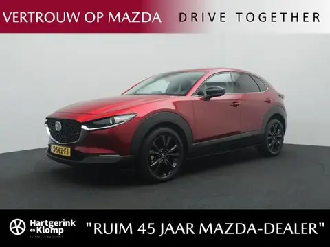 Annonce MAZDA CX-30 Hybride 2023 d'occasion 