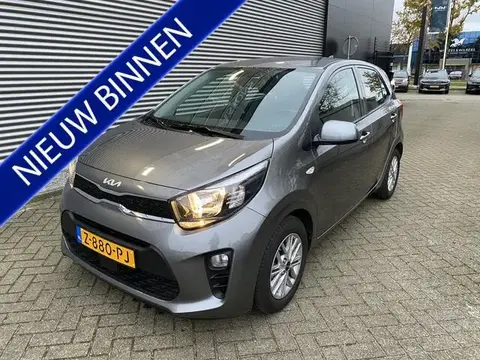 Used KIA PICANTO Petrol 2024 Ad 