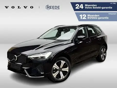 Used VOLVO XC60 Hybrid 2024 Ad 