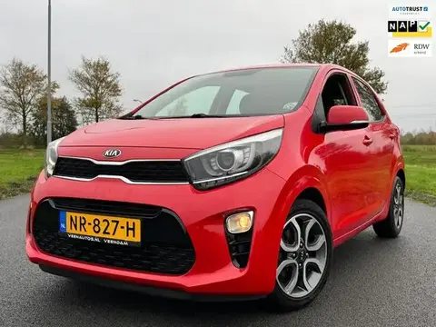 Annonce KIA PICANTO Essence 2017 d'occasion 