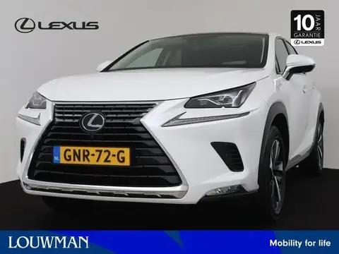 Used LEXUS NX Hybrid 2021 Ad 