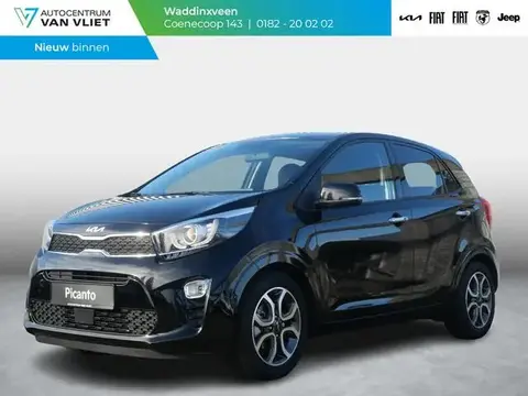 Annonce KIA PICANTO Essence 2024 d'occasion 