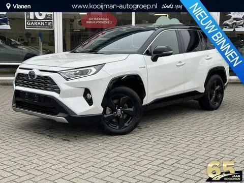 Used TOYOTA RAV4 Hybrid 2021 Ad 