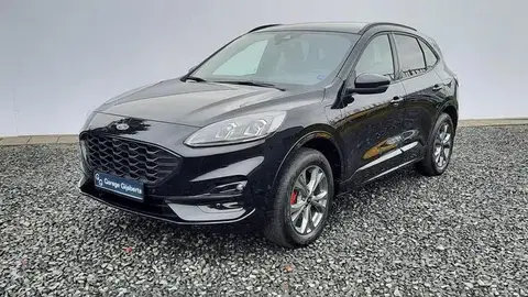 Used FORD KUGA Hybrid 2024 Ad 