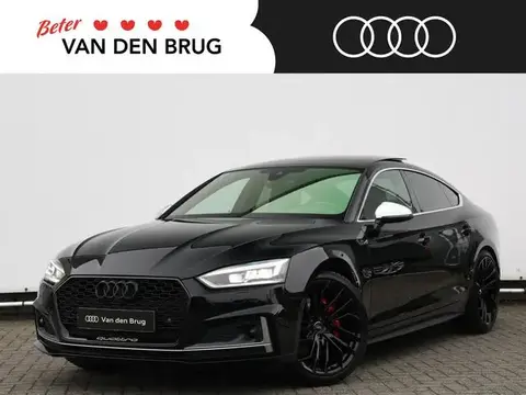 Used AUDI S5 Petrol 2017 Ad 