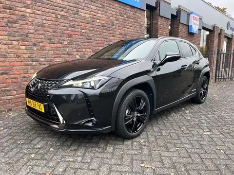 Annonce LEXUS UX Hybride 2021 d'occasion 