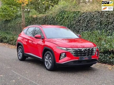 Annonce HYUNDAI TUCSON Hybride 2023 d'occasion 