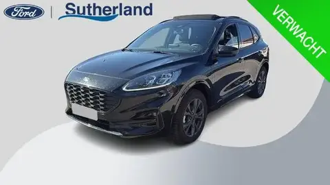 Used FORD KUGA Hybrid 2023 Ad 