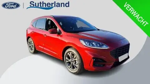 Used FORD KUGA Hybrid 2023 Ad 