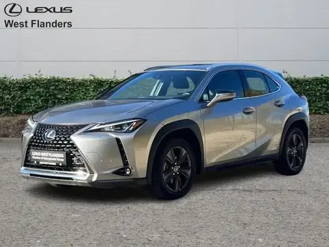 Annonce LEXUS UX Hybride 2021 d'occasion 