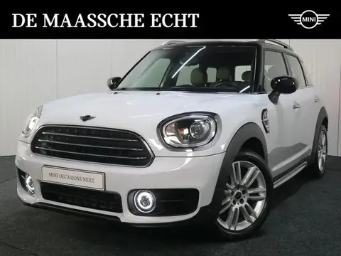 Used MINI COUNTRYMAN Petrol 2019 Ad 