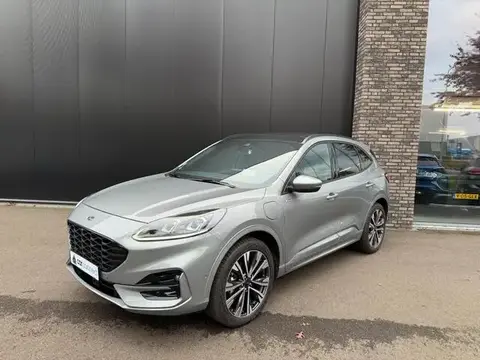 Annonce FORD KUGA Hybride 2021 d'occasion 