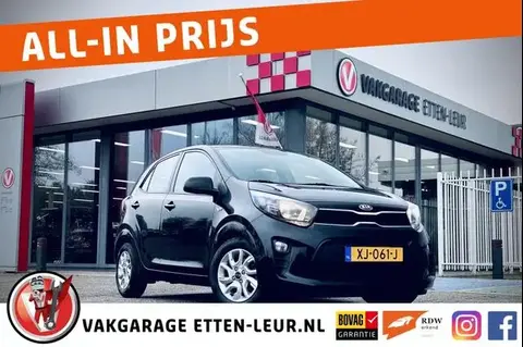 Used KIA PICANTO Petrol 2019 Ad 