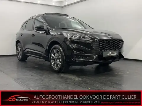 Annonce FORD KUGA Hybride 2022 d'occasion 