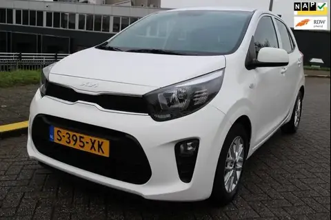 Used KIA PICANTO Petrol 2023 Ad 