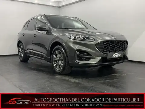 Annonce FORD KUGA Hybride 2021 d'occasion 