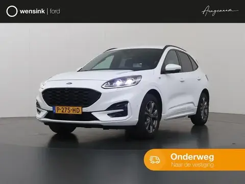 Used FORD KUGA Petrol 2020 Ad 