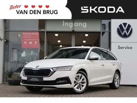 Used SKODA OCTAVIA Hybrid 2022 Ad 