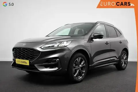 Annonce FORD KUGA Hybride 2022 d'occasion 