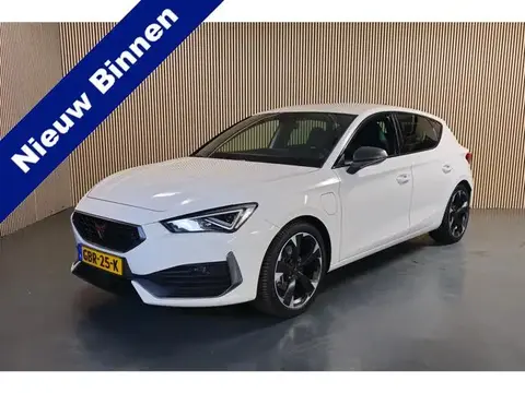 Used CUPRA LEON Hybrid 2023 Ad 