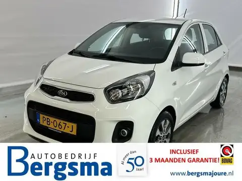 Annonce KIA PICANTO Essence 2017 d'occasion 