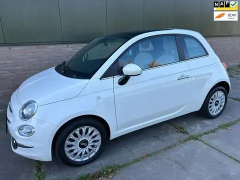 Used FIAT 500 Hybrid 2023 Ad 