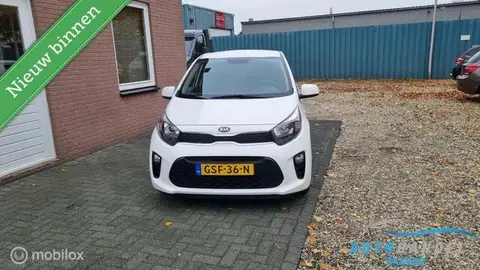 Used KIA PICANTO Petrol 2020 Ad 