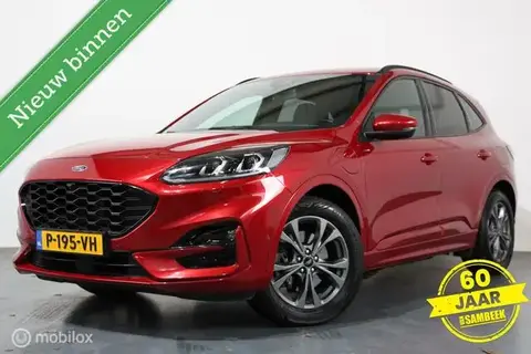 Used FORD KUGA Hybrid 2020 Ad 