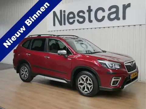 Used SUBARU FORESTER Hybrid 2019 Ad 