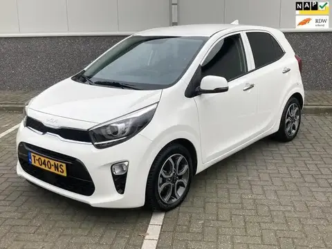 Used KIA PICANTO Petrol 2023 Ad 