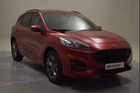 Annonce FORD KUGA Hybride 2022 d'occasion France